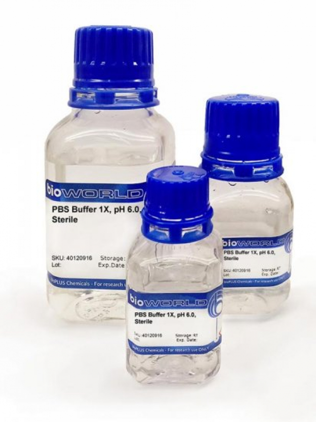 PBS(-), pH6.0, Sterile